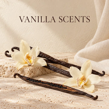 Vanilla Scents collection with an evocative scent still life on warm ivory stone.