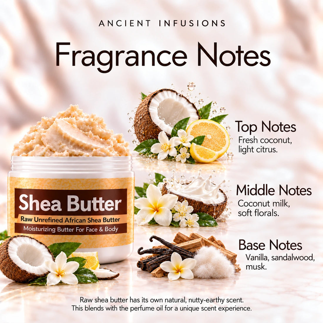 Black Coconut Shea Butter in an open white jar with textured ivory shea butter and simple scent accents on a soft cream background.