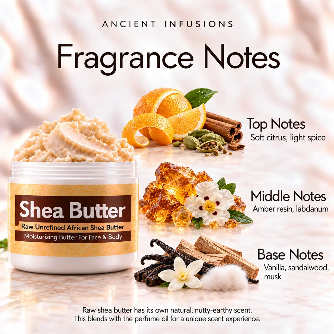 Egyptian Amber Shea Butter in an open white jar with textured ivory shea butter and simple scent accents on a soft cream background.