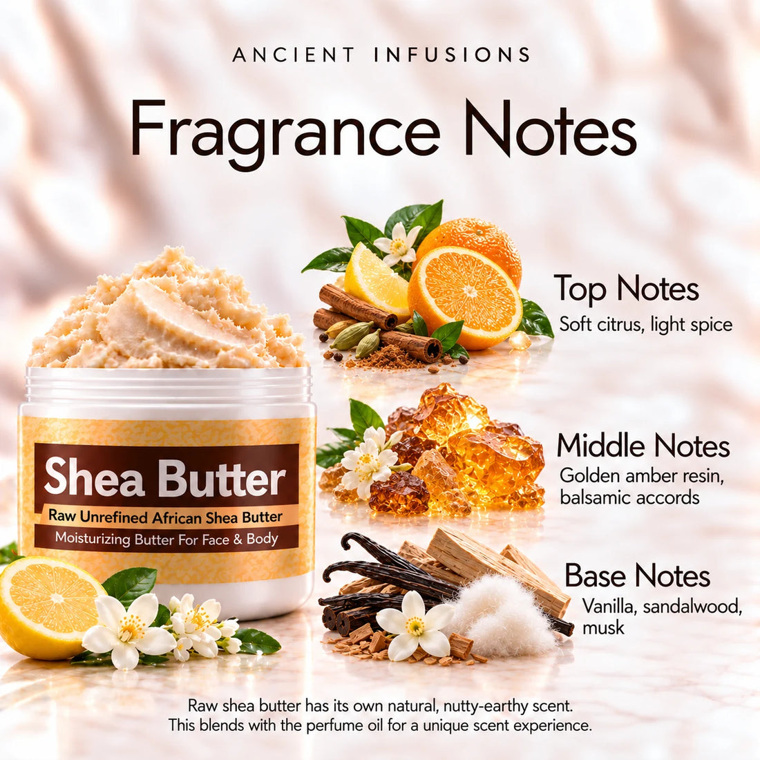Imported Golden Sand Shea Butter in an open white jar with textured ivory shea butter and subtle scent accents on a soft cream background.