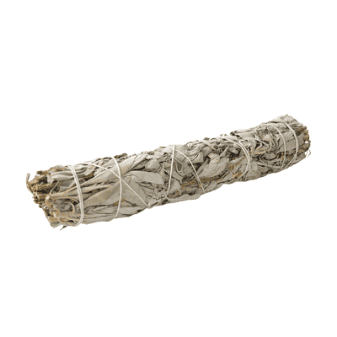 8-Inch Native White Sage Smudge Stick - Benefits for Spiritual Cleansing and Meditation.
