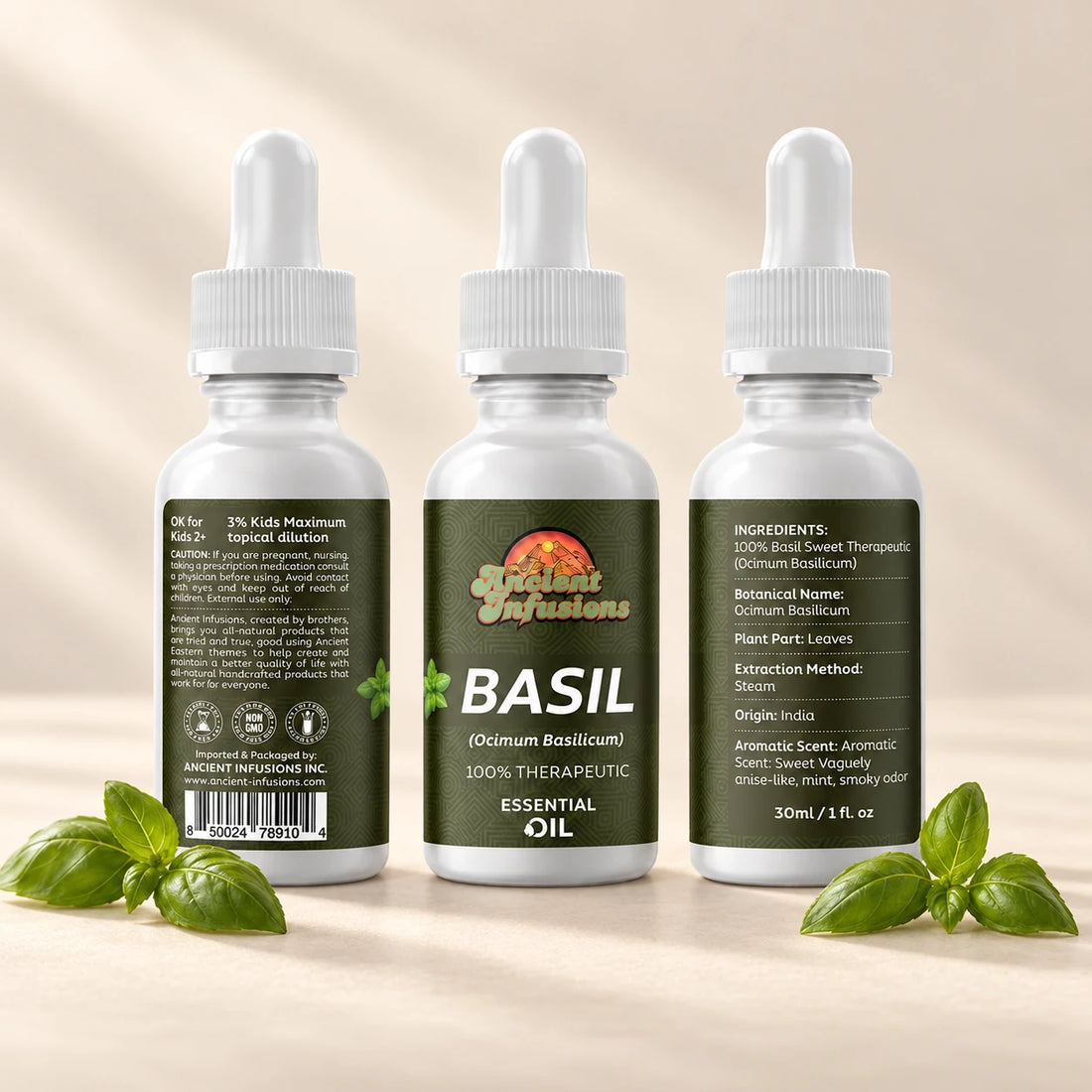 Ancient Infusions Basil Essential Oil bottle with fresh basil on a soft ivory background.