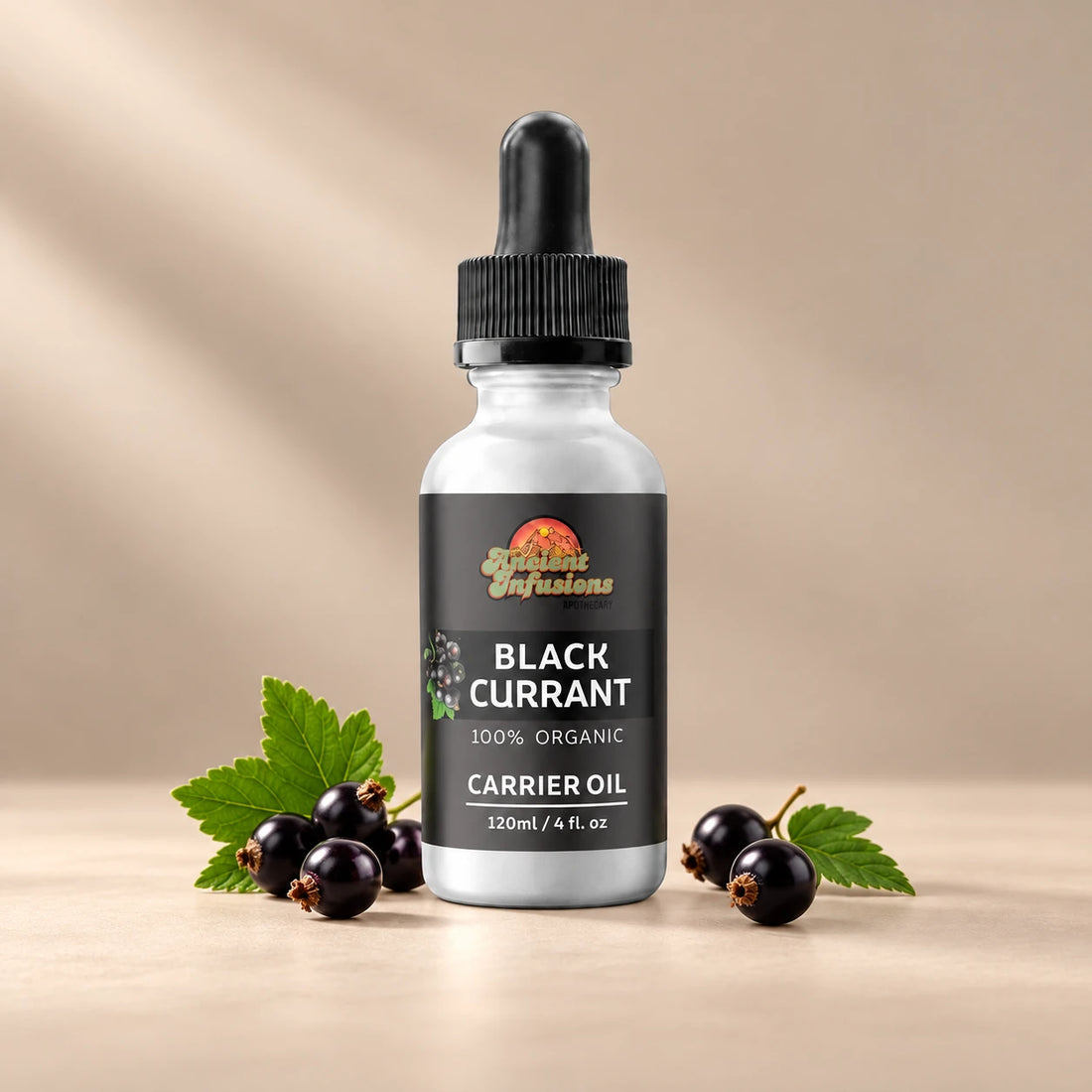Ancient Infusions Black Currant Carrier Oil silver bottle with black dropper on a warm stone background.