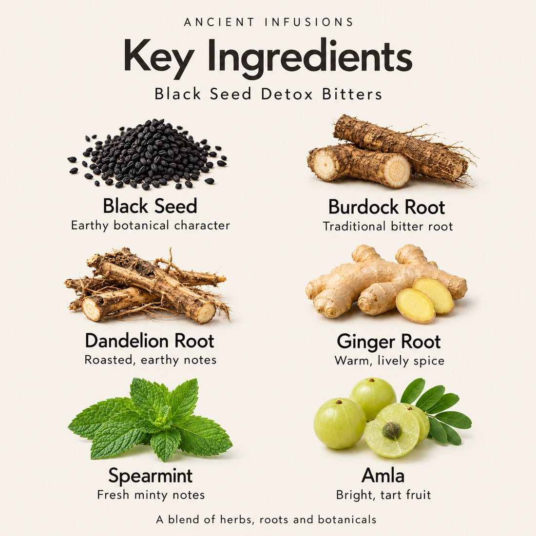 Black Seed Detox Bitters bottle with ginger, spearmint and black seeds on a soft ivory background.