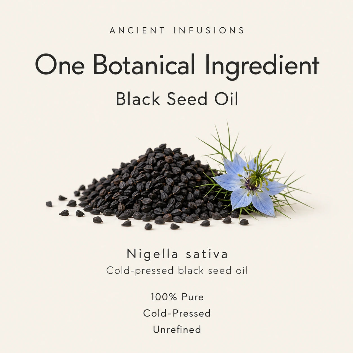 Black Seed Oil ingredient card showing Nigella sativa seeds and cold-pressed, pure, unrefined oil features.