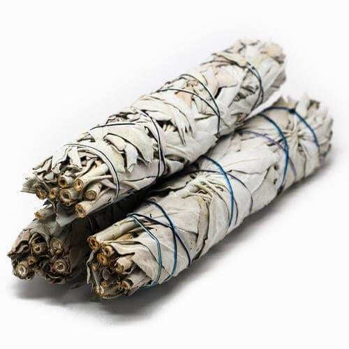 Native White Sage Smudge Stick - 8 inch for Energy Cleansing and Traditional Rituals.