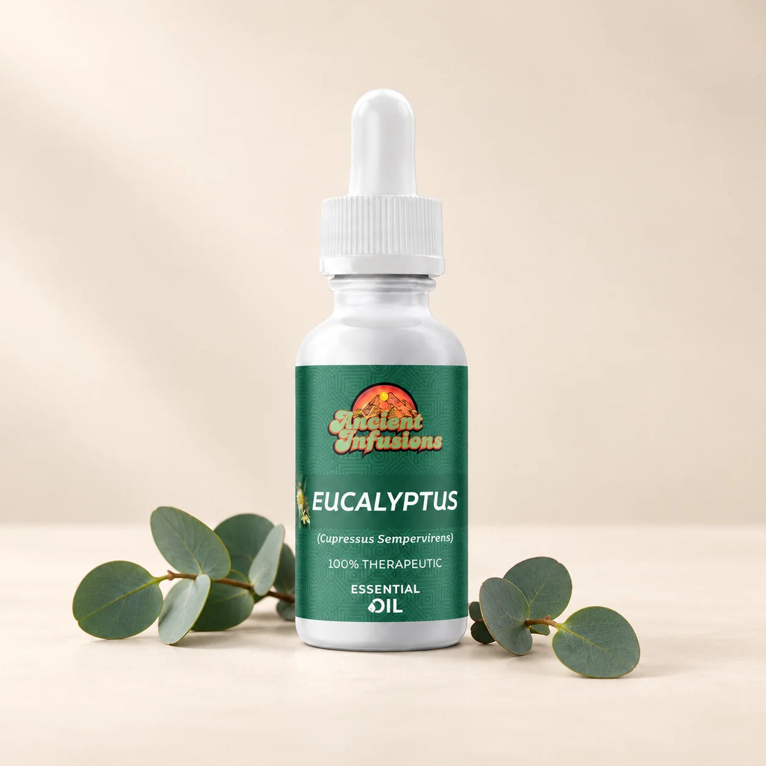 Ancient Infusions Eucalyptus Essential Oil bottle with botanicals on a soft ivory background.