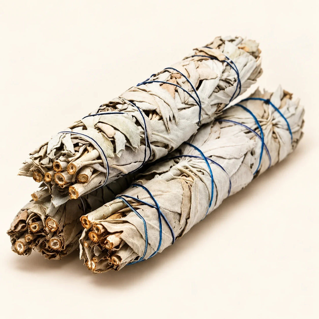 Single 4-inch white sage smudge stick on a soft ivory background