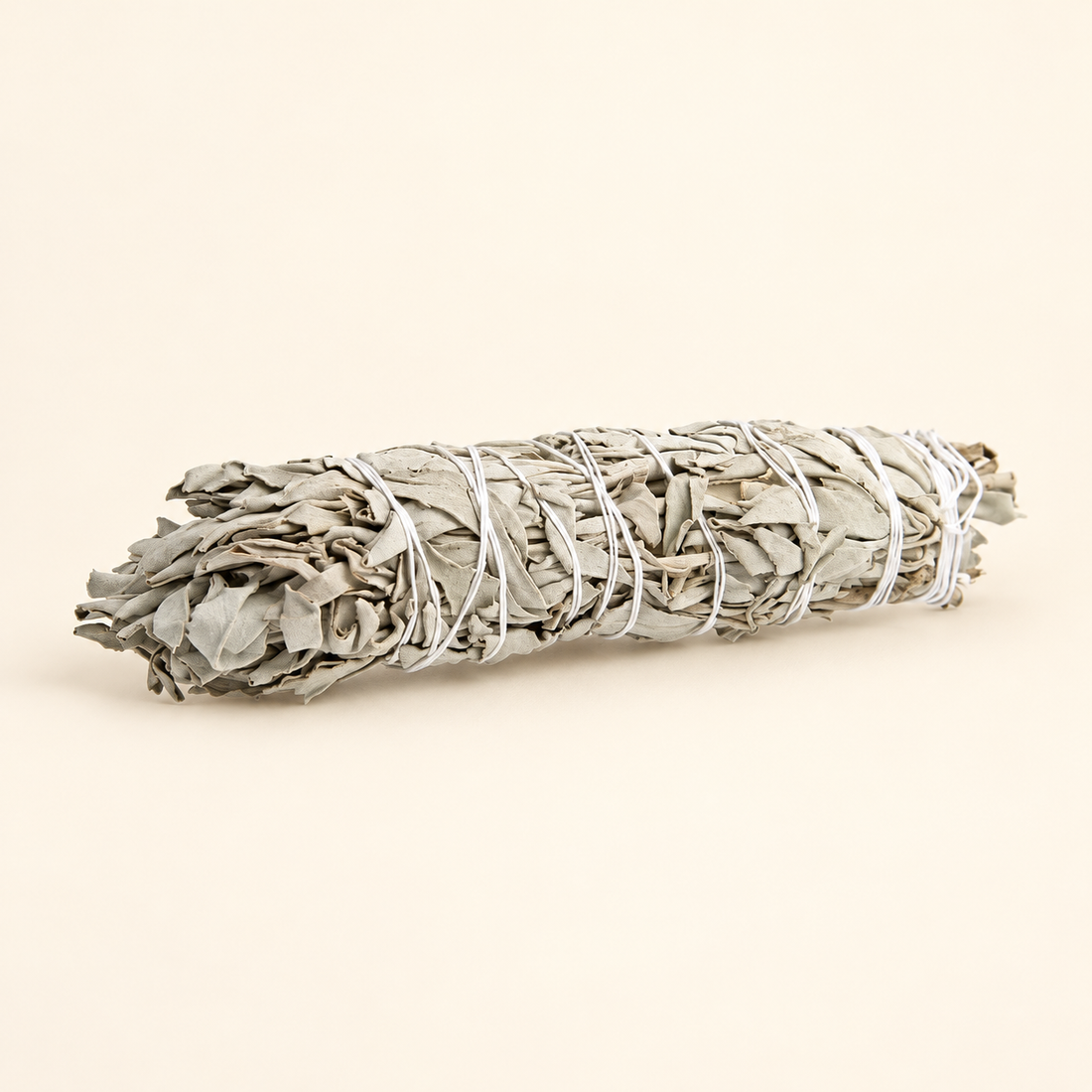 Native White Sage Smudge Stick 8 inch on a soft warm ivory studio background
