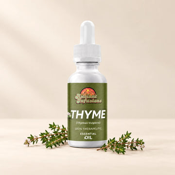 Ancient Infusions Red Thyme Essential Oil bottle with botanicals on a soft ivory background.