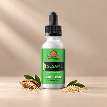 Ancient Infusions Sesame Seed Carrier Oil silver bottle with black dropper on a warm stone background.