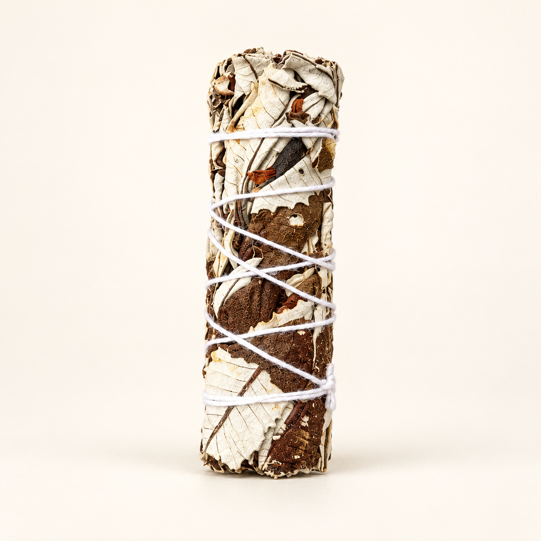 Yerba Santa Smudge Stick 4 inch isolated on a soft warm ivory background